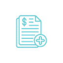 Double Entry Accounting System — ORBIT Solutions
